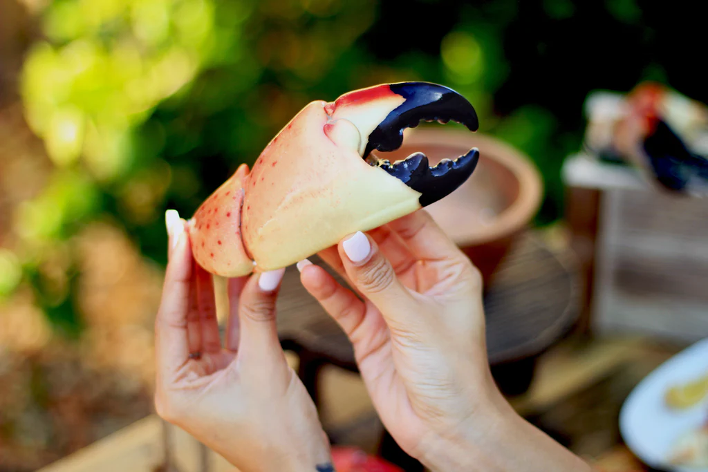 Exploring the Delicious World of Stone Crabs