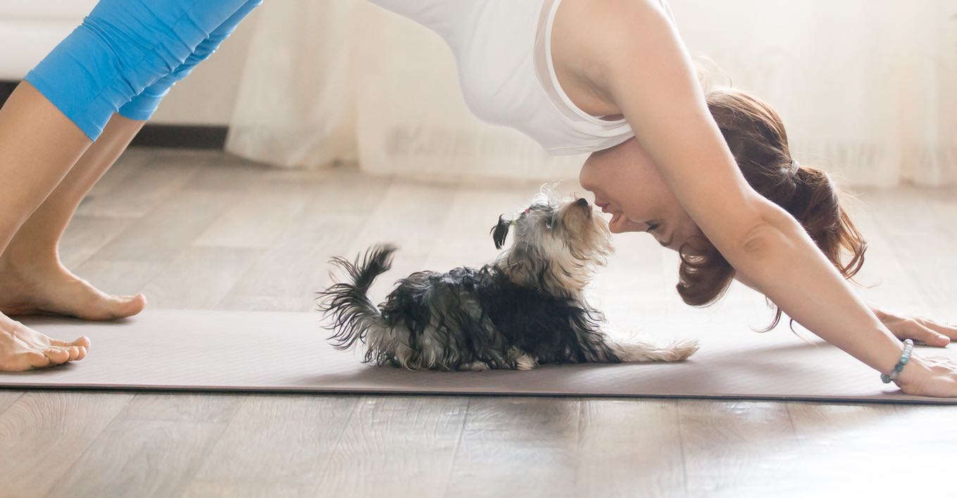 Experience Relaxation with Puppy Yoga