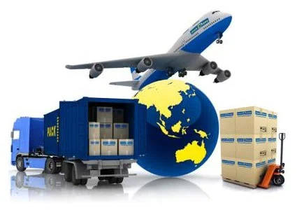 Freight Forwarders Explained: What Do They Really Do?