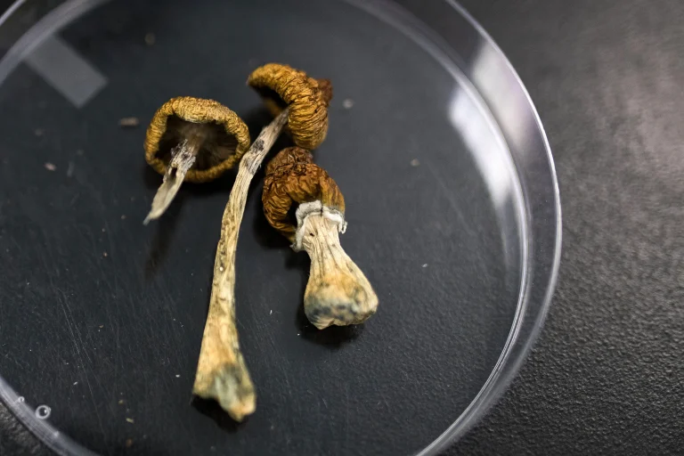 magic mushrooms and depression