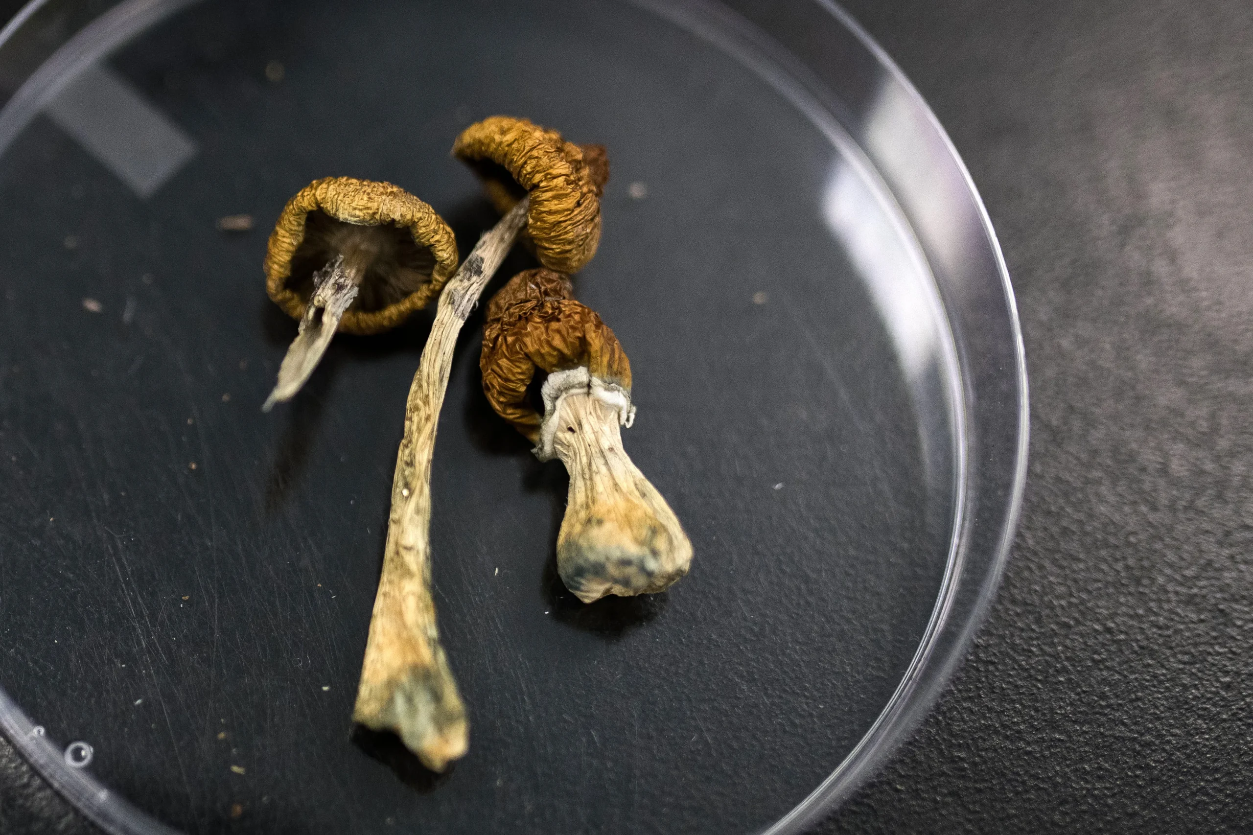 magic mushrooms and depression