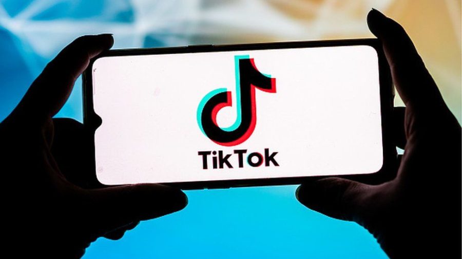 Improve TikTok Media Access With HD Video Download Support Services